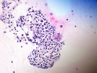 CytologicallyYoursUnknowns201310-3-10.jpg