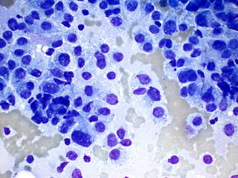 CytologicallyYoursUnknowns201401-02-03.jpg