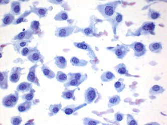 CytologicallyYoursUnknowns201401-02-06.jpg