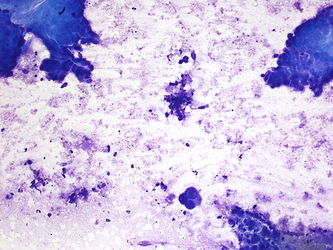 CytologicallyYoursUnknowns201401-01-01.jpg