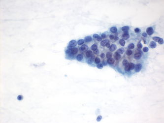 CytologicallyYoursUnknowns201401-01-05.jpg