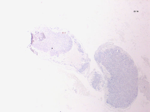 CytologicallyYoursUnknowns201401-04-09.jpg