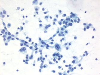 CytologicallyYoursUnknowns201401-01-04.jpg