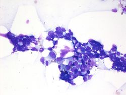 CytologicallyYoursUnknowns201312-5-03.jpg