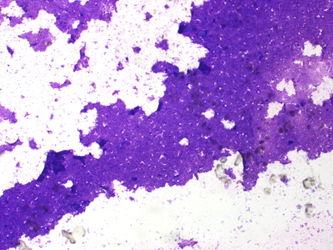 CytologicallyYoursUnknowns201310-5-01.jpg