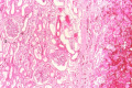 Thumbnail for version as of 15:12, 15 August 2013