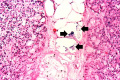 Thumbnail for version as of 01:18, 16 August 2013