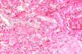 Thumbnail for version as of 15:12, 15 August 2013