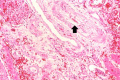 Thumbnail for version as of 15:12, 15 August 2013