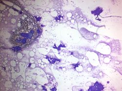 CytologicallyYoursUnknowns201312-3-01.jpg