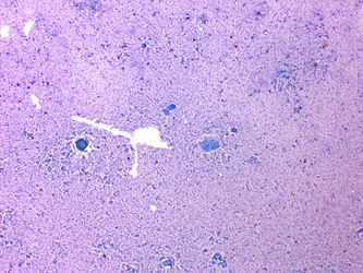 CytologicallyYoursUnknowns201401-06-01.jpg