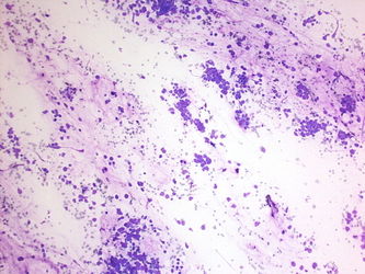 CytologicallyYoursUnknowns201310-2-02.jpg