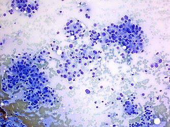 CytologicallyYoursUnknowns201401-02-02.jpg