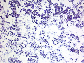 CytologicallyYoursUnknowns201401-02-04.jpg